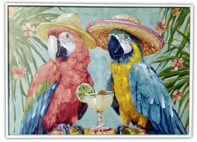 Ast Parrot W c W  W-7036-105