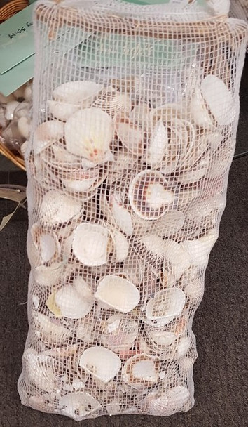 9lb Bag of Shells 21300-2