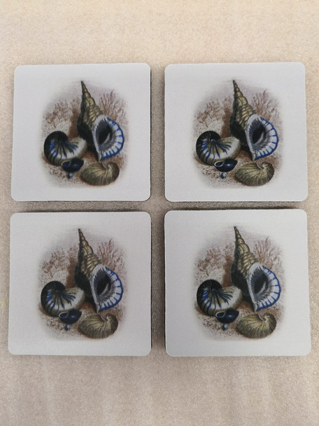 Three Shells Coasters - Set of 4 CT003-50