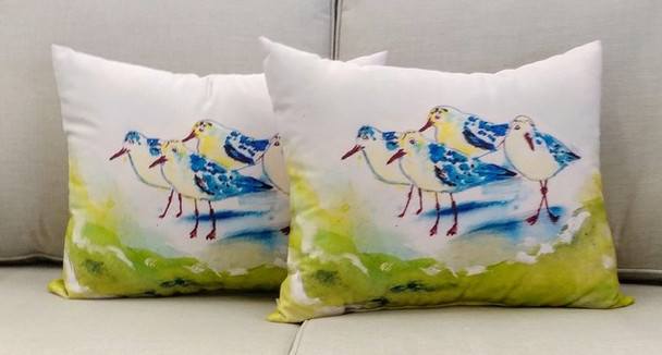 Green Sanderling Pillow - Set of 2 NC956-50