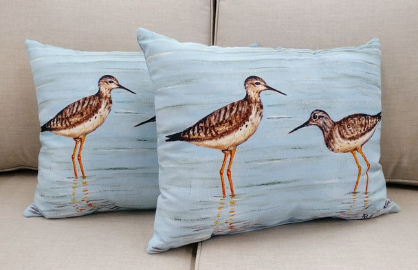 Yellowlegs Pillow - Set of 2 NC430-50