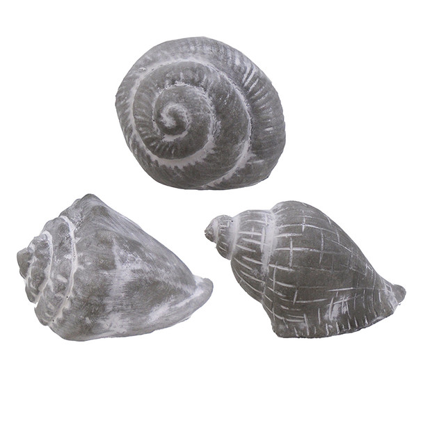 Shell Décor - Set of 3 71534