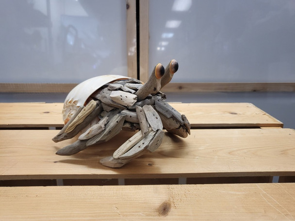 Driftwood Hermit Crab FSH-14630C-110