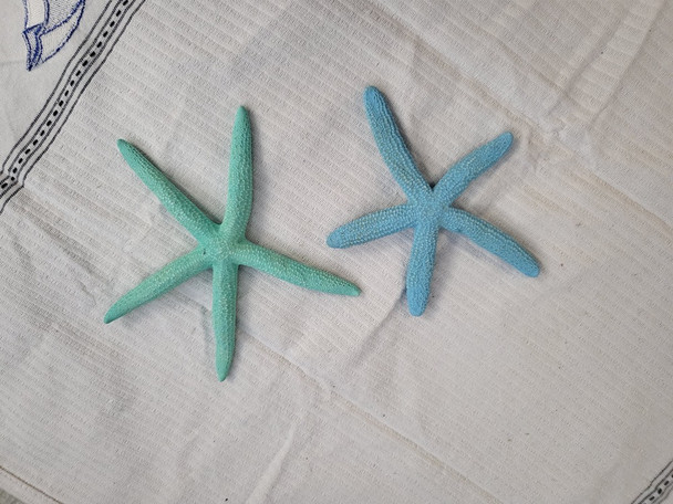 Starfish-blue & green 4"-6" SL15BG4-6-110  each