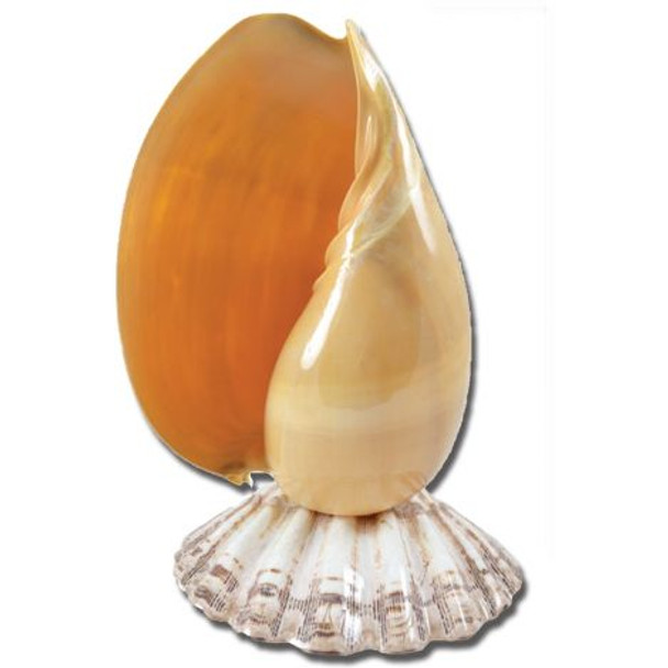 Melon Shell Lamp 4035-18