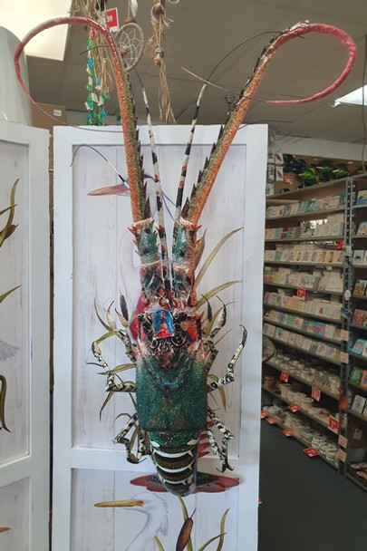 Painted Bamboo Lobster  8105s-18