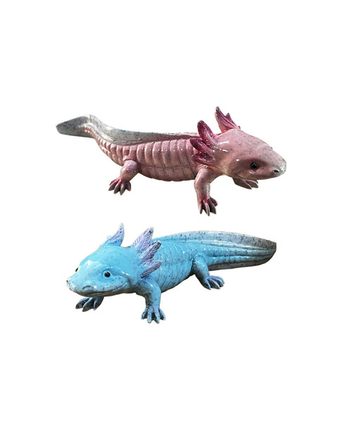 Axolotl BV1389-52