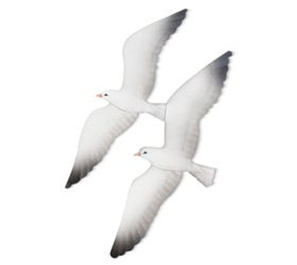 Seagull CA541-10
