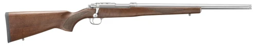 Ruger 77/17 17 WSM 18.5" SS - 736676072309