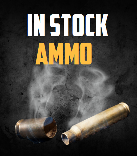 Classic Firearms | Concealed Gun Holster | Hornady Ammo | Gun ...