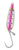 Gibbs Titan