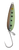 Gibbs Titan