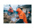 Storm Jacket Orange/Black
