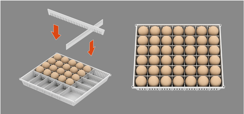 Multi-basket
