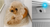 Curadle Smart Care incubator PRO 120 IP camera