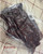 Beef Jerky