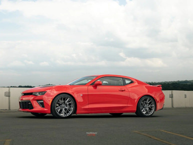 PRO Lowering Springs #D-SP-CH-08