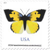 California Dogface Butterfly 2019 - Sheets of 100 stamps