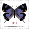 Colorado Hairstreak 2021 - Sheets of 100 stamps