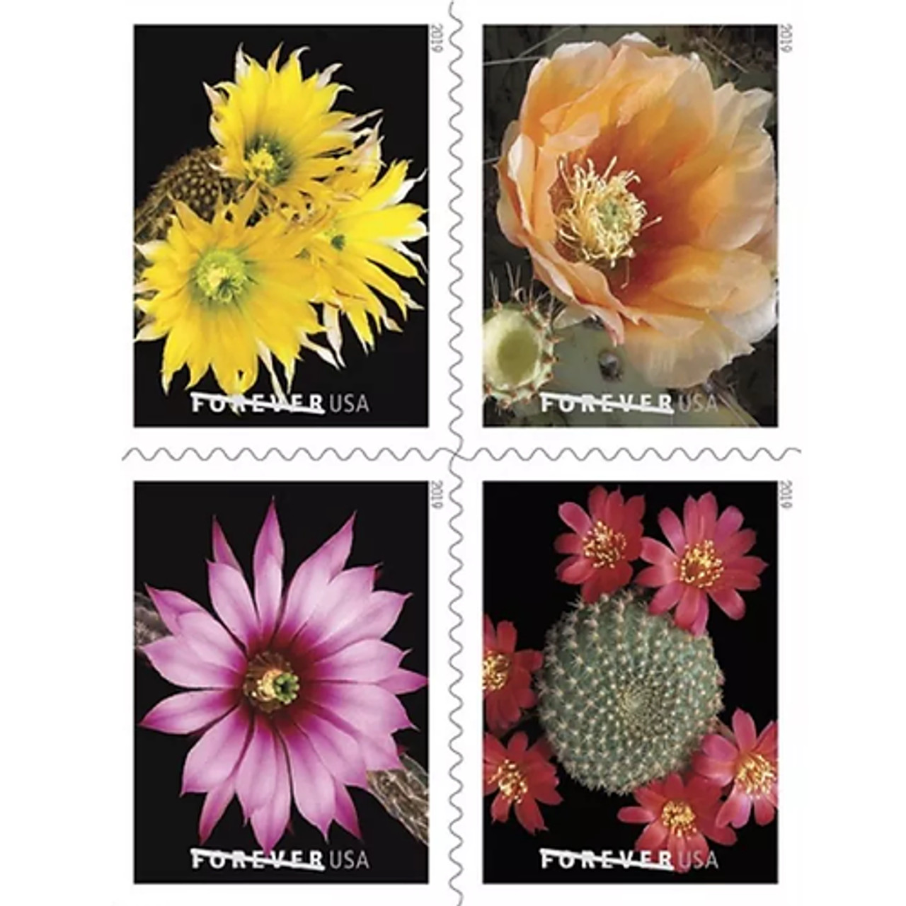 Cactus Flowers 2019, Discounted Forever Stamps