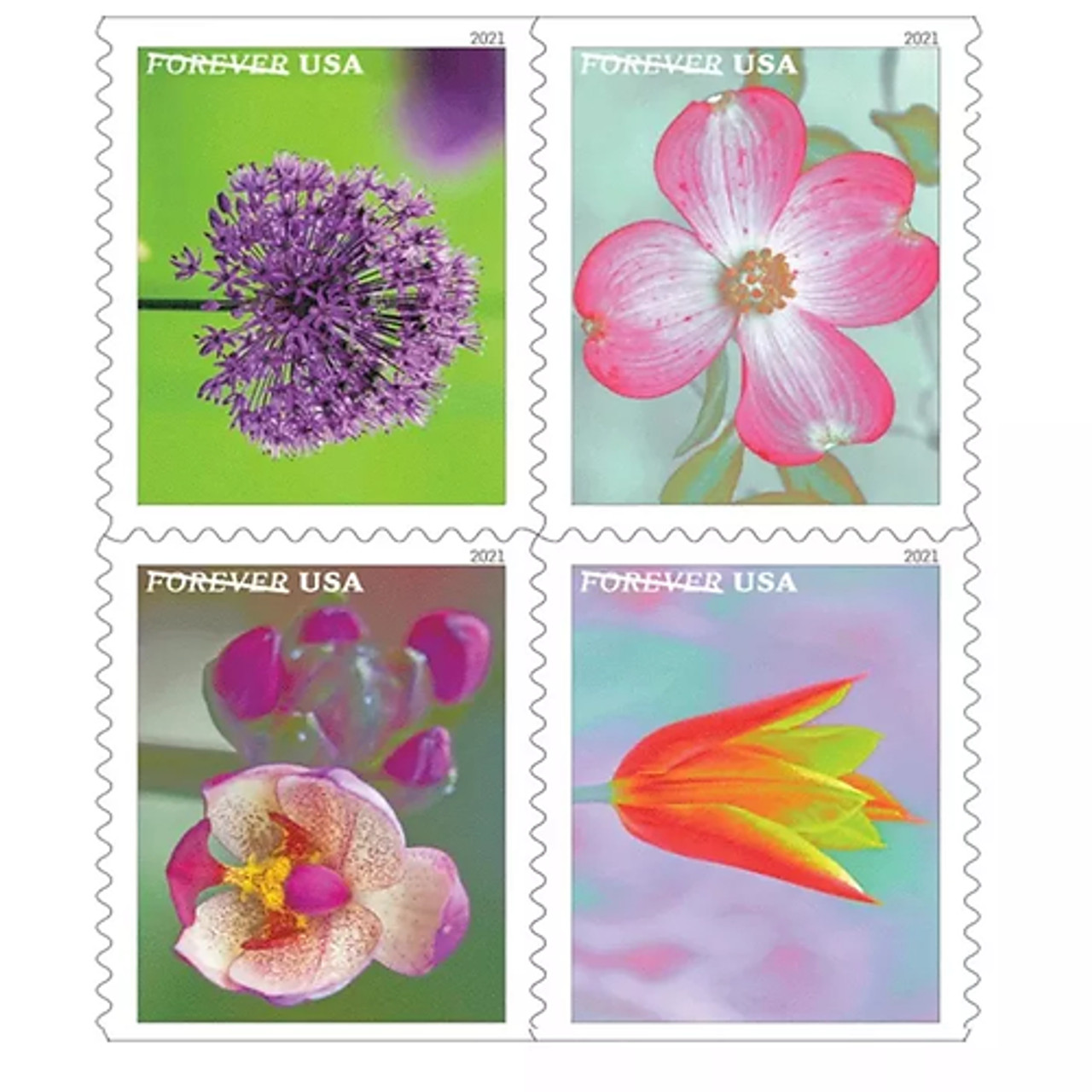 Pink Never Dyes: International Postage Stamps Colored Pink » New York  Botanical Garden