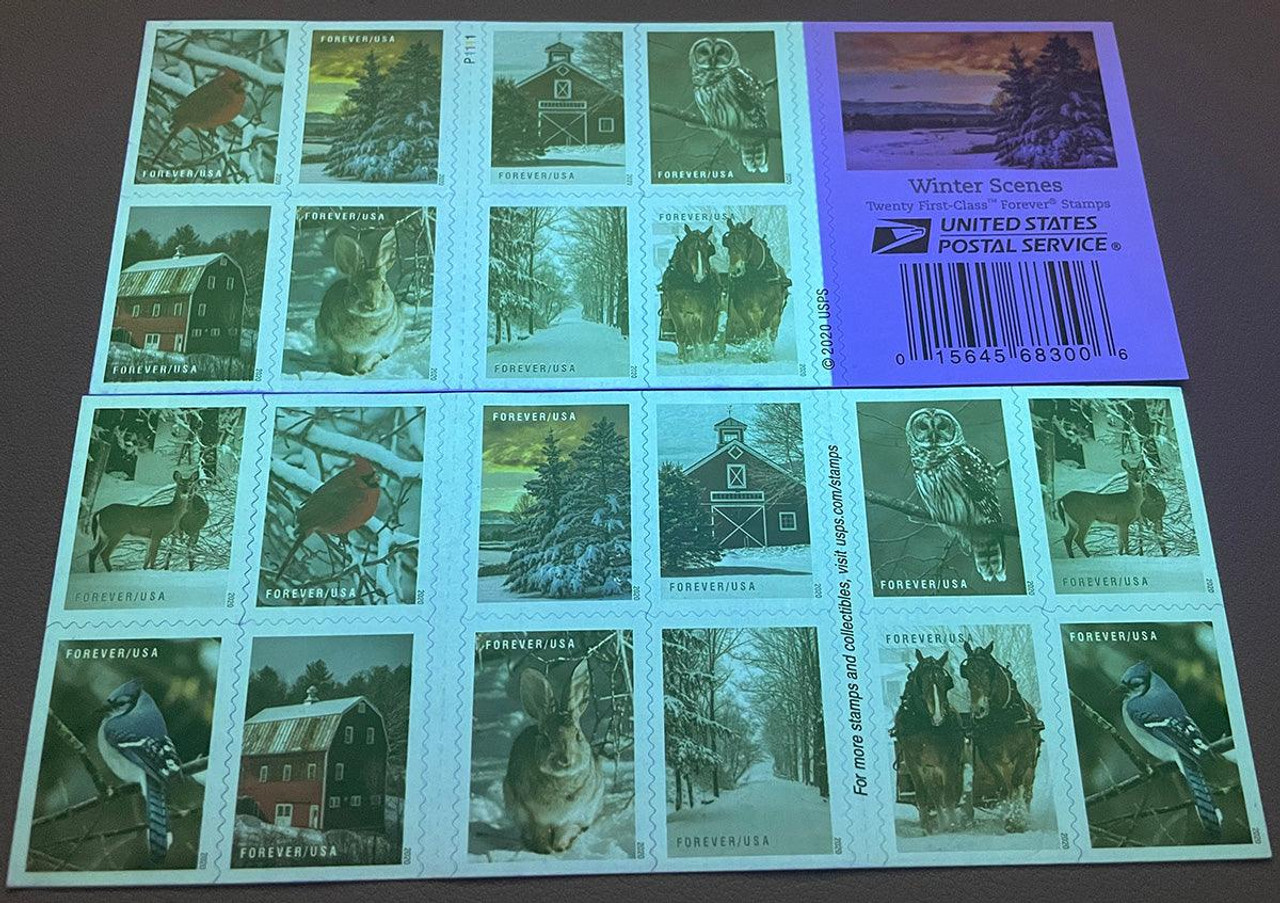 2020 USPS 'Winter Scenes' Forever Postage Stamps – DP FLOWERS CORP