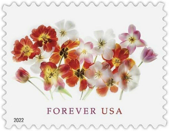 Shop All - Floral Stamps - Page 1 - Forever Stamps Shop