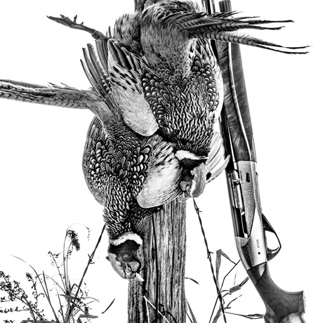Benelli Upland Shotguns