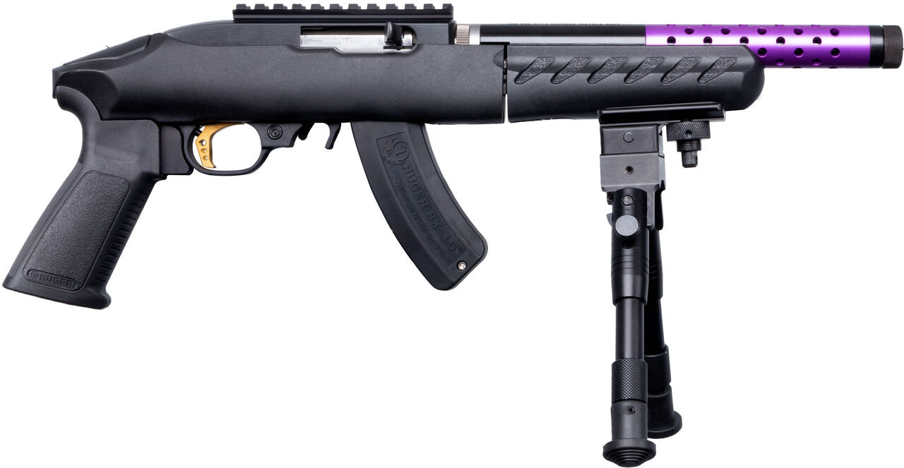 Ruger 22 Charger Takedown