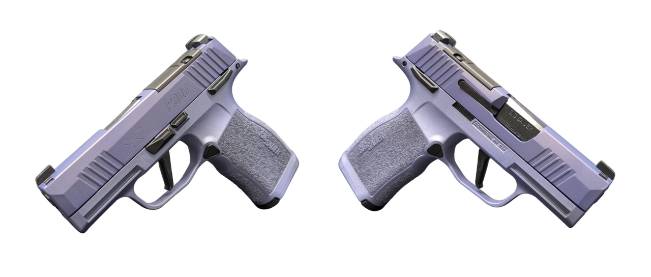 Sig Sauer P365X 9mm, 3.1
