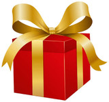 Best Gifts for Gun Owners & Hunters Under $100 | Impact Guns