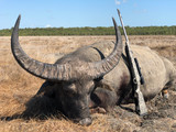 One Hunters Quest for the Perfect Rifle. Part 4 - The Hunt Report
