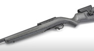 The Ruger Custom Shop 10/22 Competition Rifle
