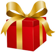 Best Gifts for Gun Owners & Hunters Under $100 | Impact Guns