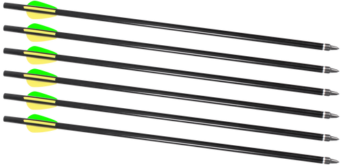 Traditions Firebolt 2216 Arrow For Crackshot XBR 16" Aluminum 6 Pack