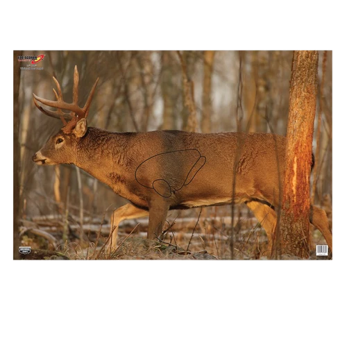 Birchwood Casey Eze-Scorer Whitetail Deer Target Folded 23x35" 2 Per Package