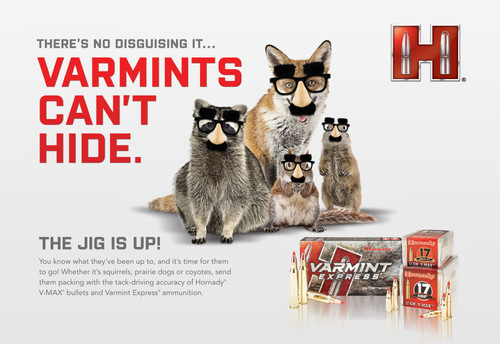 Hornady Varmint Express 223 Rem 55gr Hornady V Max 20 Per Box