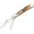 Case Genuine Stag Peanut Folding Knife, 2 Stainless Steel Blades