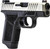 Gforce Rapture, 9mm, 3.25" Barrel, Nickel Slide, Gray Frame, Optic Cut, Shield RMSc/RMR Footprint, 12rd