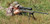 Caldwell XLA Fixed Bipod 6-9" Black Aluminum