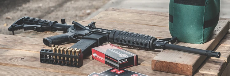 Ruger AR-556 | Impact Guns