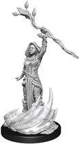 Dungeons and Dragons Wizkids Human Druid Nolzurs Marvelous Unpainted s W14 Human Druid Female Miniature D&D WZK90223