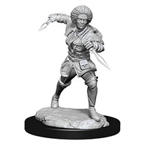 Dungeons and Dragons Wizkids Monster Magic the Gathering Unpainted s W14 Kaya Miniature D&D WZK90275