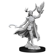 Wizkids Dungeons And Dragons Human Druid Frameworks W01 Female Miniature D&D WZK75012