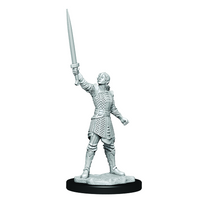 Wizkids Dungeons And Dragons Human Fighter Critical Role Unpainted S W1 Dwendalian Empire Miniature D&D WZK90386