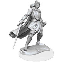 Wizkids Dungeons And Dragons  Halfelf Paladin Critical Role Unpainted s W1 Xhorhas Paladin Miniature D&D WZK90390