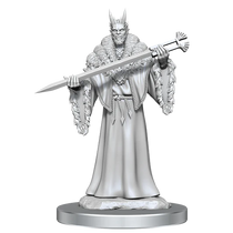 Wizkids Dungeons & Dragons Magic The Gathering Unpainted Miniatures Lord Xander The Collector WZK90608