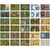 Big Book of Battle Mats: Wrecks and Ruins