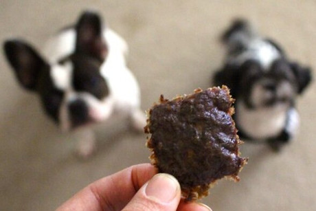 Can Dogs Eat Beef Jerky Safely? | The Good and Bad