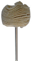 Chamois Shiner Bit